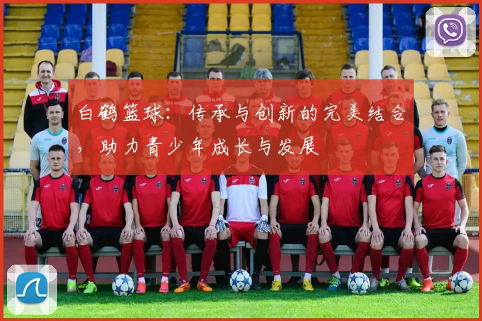 白鹤篮球：传承与创新的完美结合，助力青少年成长与发展