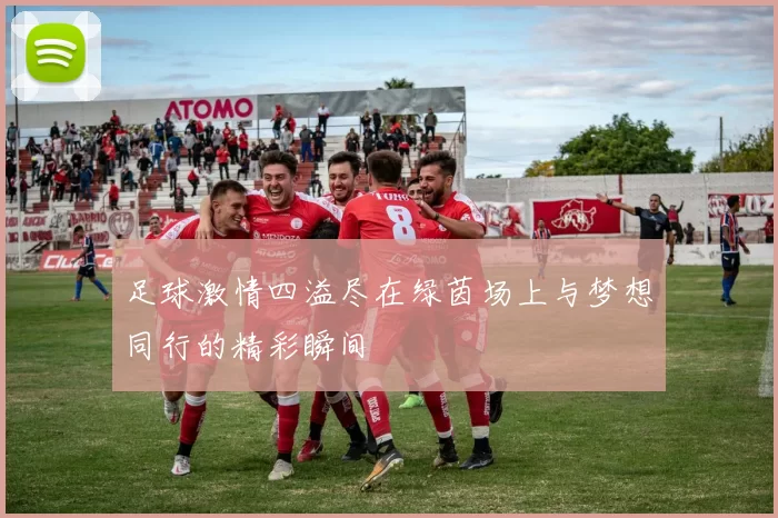 足球激情四溢尽在绿茵场上与梦想同行的精彩瞬间